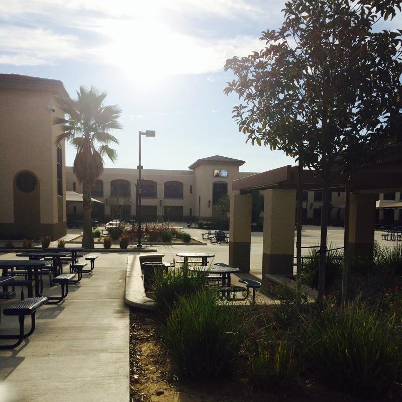 The sun shines upon the YLHS Quad during one of Californias plentiful warm days. 