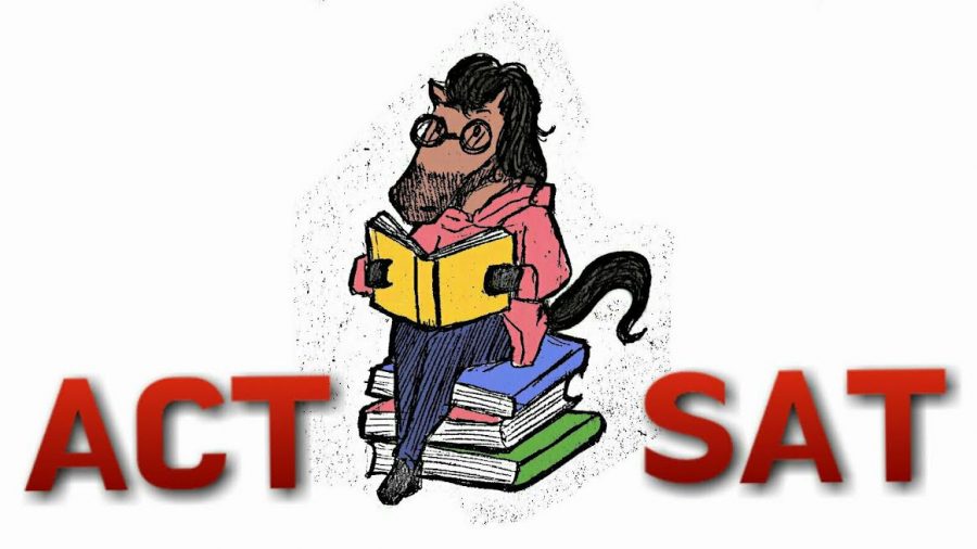 Enroll for Discounted SAT/ACT Summer Classes