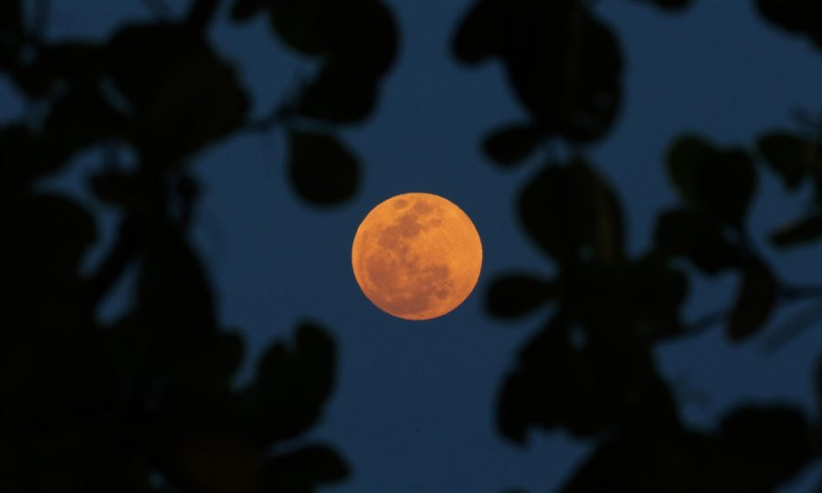 A view of the super blood moon from Rio de Janeiro, Brazil