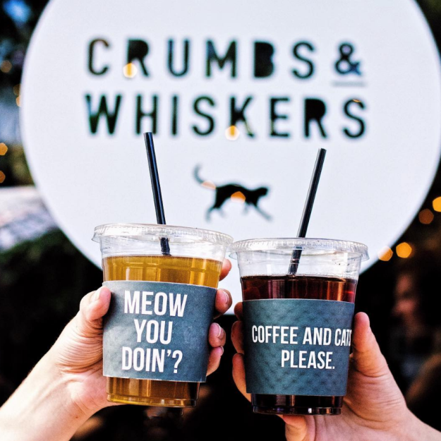 Crumbs & Whiskers is coming soon to LA!
Photo courtesy of Crumbs & Whiskers