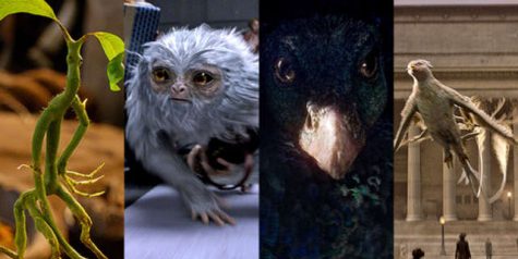 These are some of the magical creatures introduced throughout the movie.