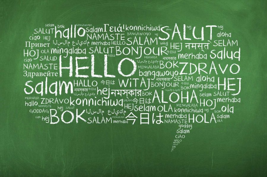 There are over six thousand languages spoken worldwide.