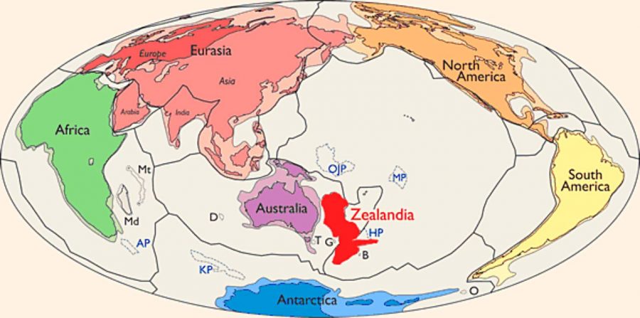 New Continent Found Under New Zealand