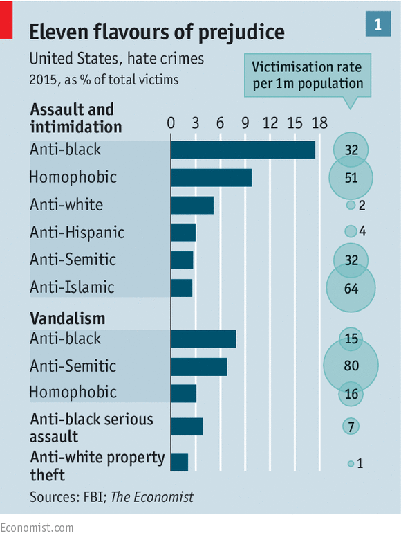 A visual representation of hate crime statistics and victimization rates. 