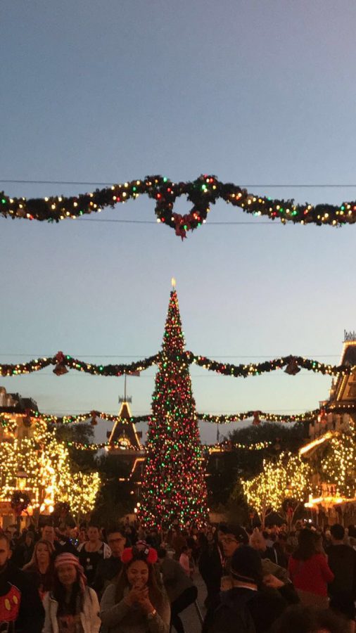 Disneyland goes all out for the holidays, including a
Christmas tree adorned with colorful ornaments and
lights.
