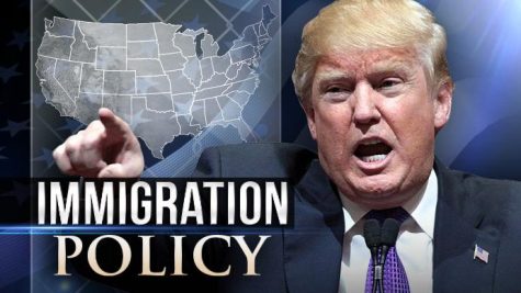 Image result for trump immigration policy