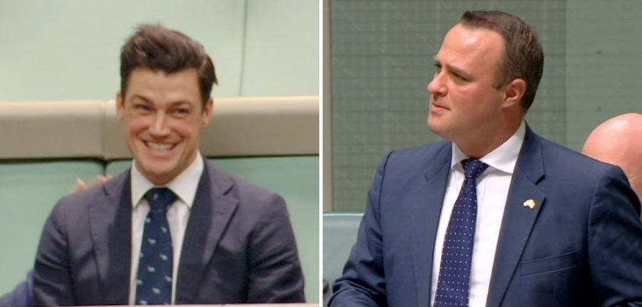 Tim Wilson (right) proposes to partner, Ryan Bolger (left), during debate over same sex marriage.