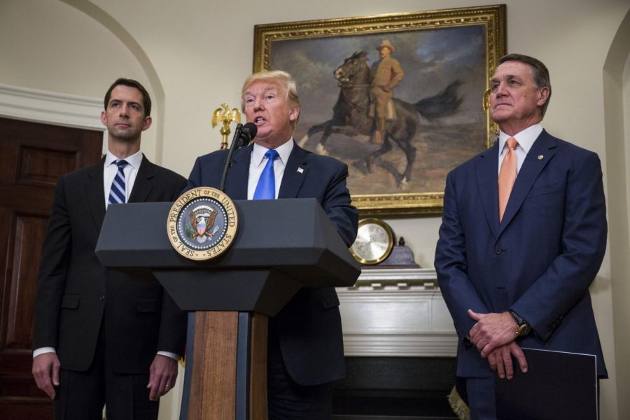 Sens. Tom Cotton (R-AR) and David Perdue (R-GA) stand with President Trump and deny accusations made against him.