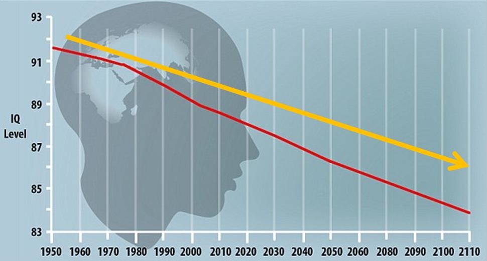 The New Generation An Age of Declining Intellect The Wrangler