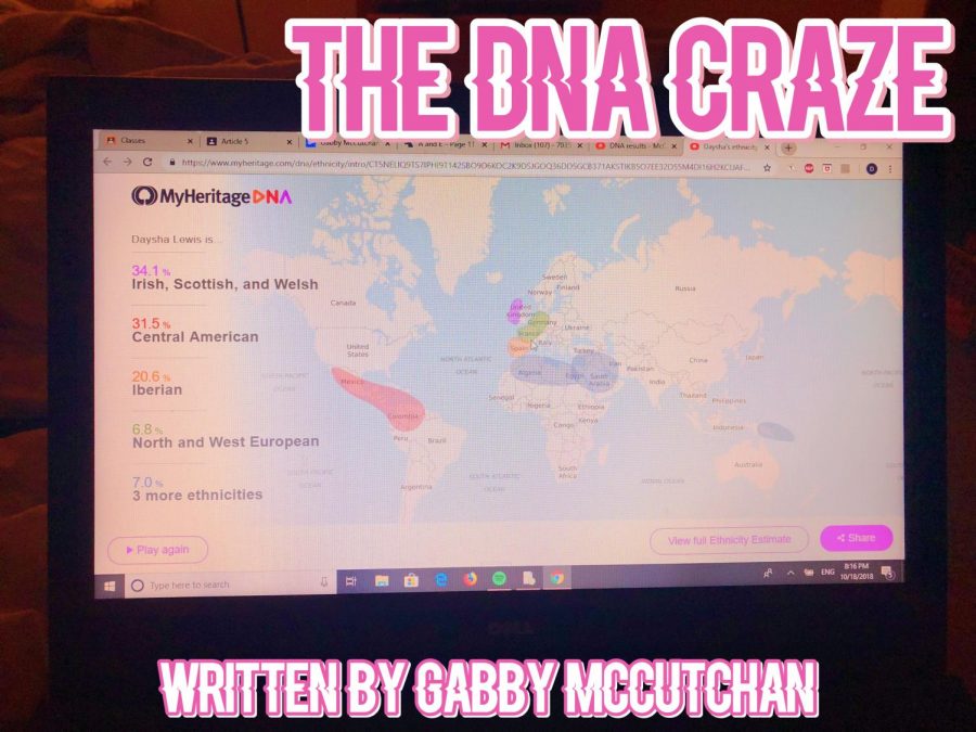 DNA Testing has taken the world by storm, with countless amounts of people who are finally gaining access to uncover their origins with companies whose sole purpose is to provide their customers with confirmation about their ethnicity.