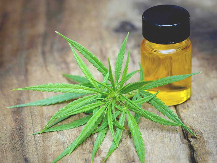CBD oil has been both criticized and praised for a surprising number of potential benefits. 