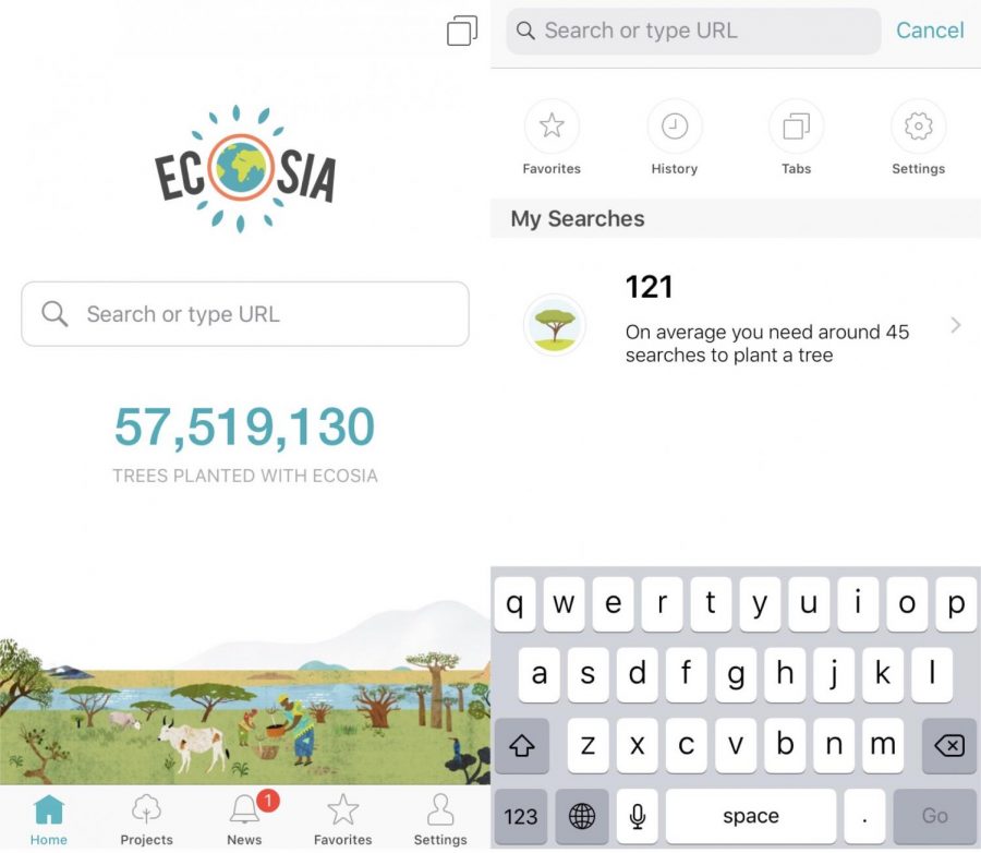 About every 45 searches results in a tree planted somewhere around the world, and Ecosia’s users already have planted a combined estimate of over 57 million trees. 