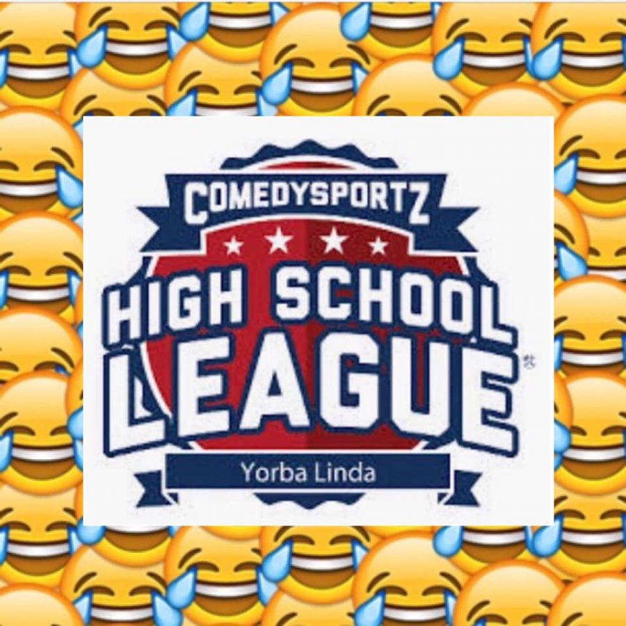 Comedy+Sportz+is+wrapping+up+soon+and+some+senior+players+share+their+experience.+