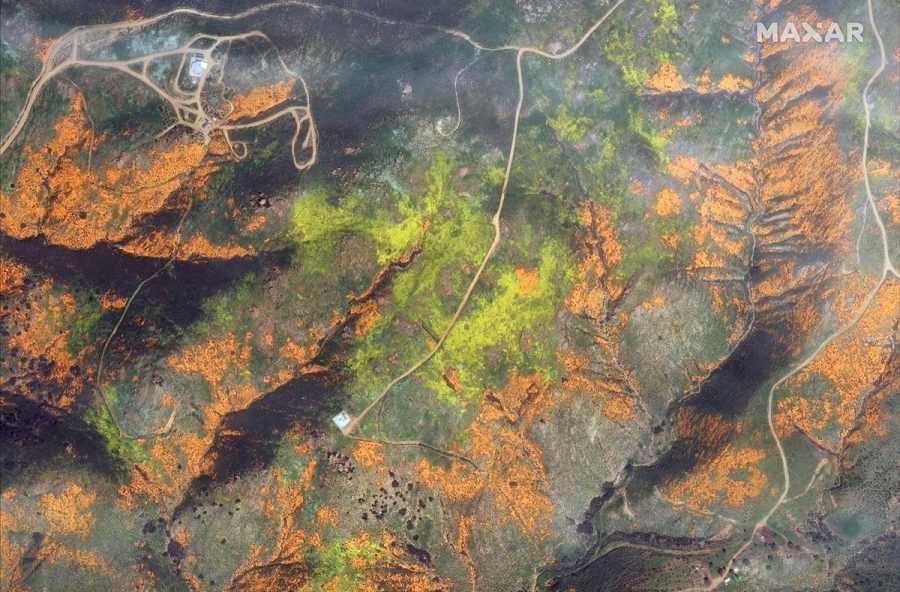 The 2019 super bloom of Walker Canyon was so vibrant that it could be seen from space; this image was taken by WorldView-2 Satellite.
