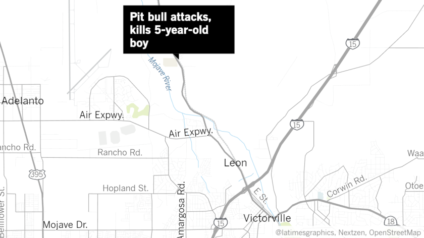 A 5-year-old was killed on February 10 by the family’s pitbull dog.