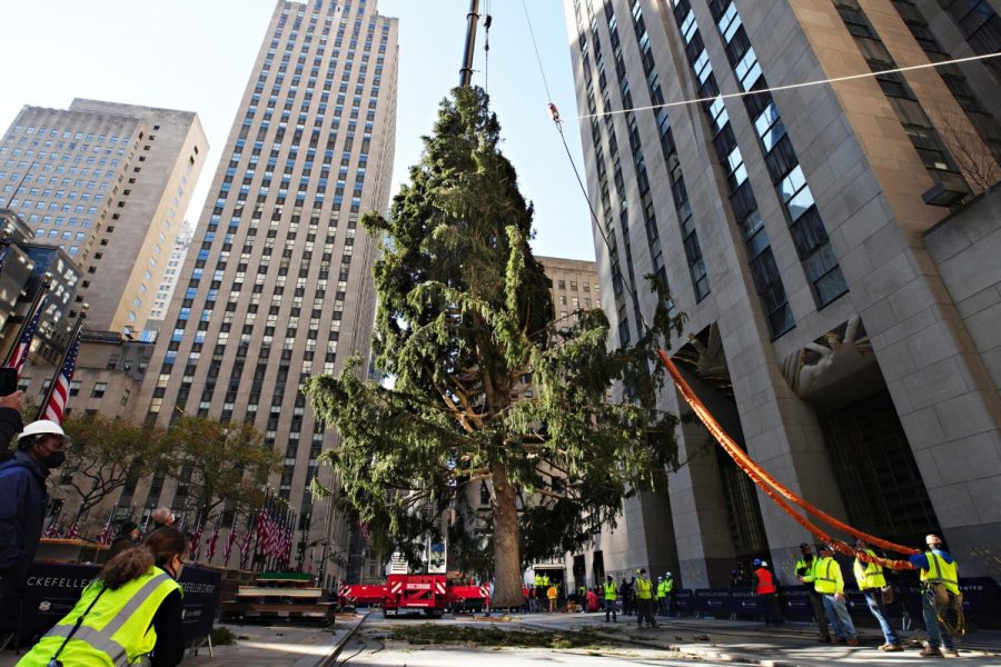 This years Rockefeller Tree arrives to New York City looking very sparse.