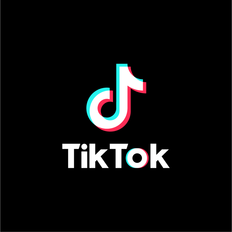 Over the past year, TikTok has become one of the most popular apps of the decade.