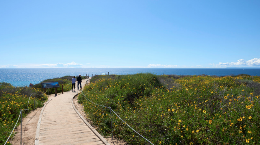 Crystal Cove Trail in Newport Beach is a beautiful hike with wonderful beach views.