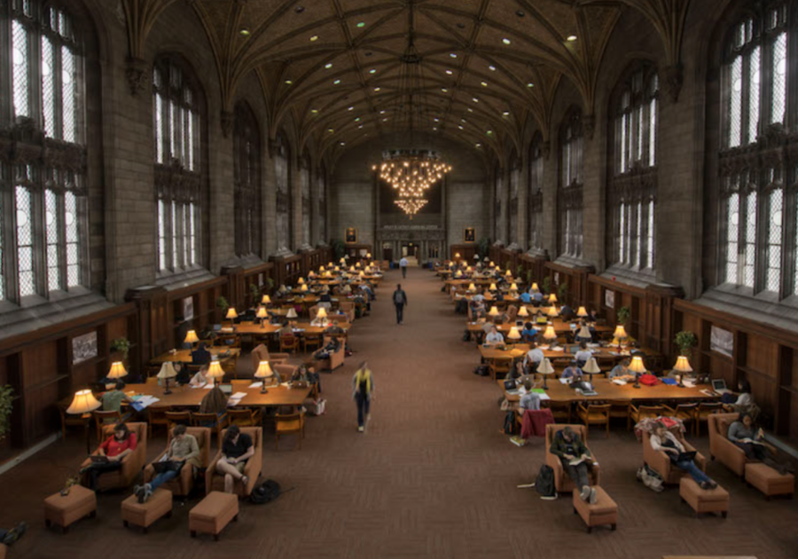 The Harper Memorial Library at UChicago, a popular study building for most students. 