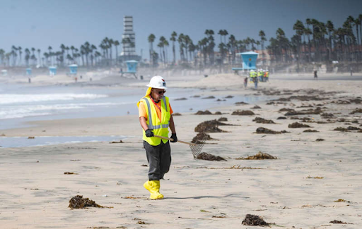 After the oil spill that occurred off the shore of Huntington Beach, many people have helped clean up after the environmental disaster.
