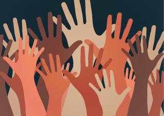 An image capturing a diverse range of hands to demonstrate the idea that CRT hopes to encourage. 