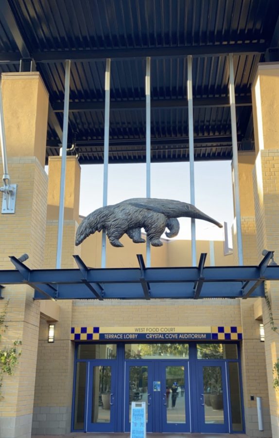 Zot zot zot! The anteater is UC Irvine’s proud mascot. Part of the University of California system, UCI’s tuition for California students is half the cost of that for out-of-state students. 