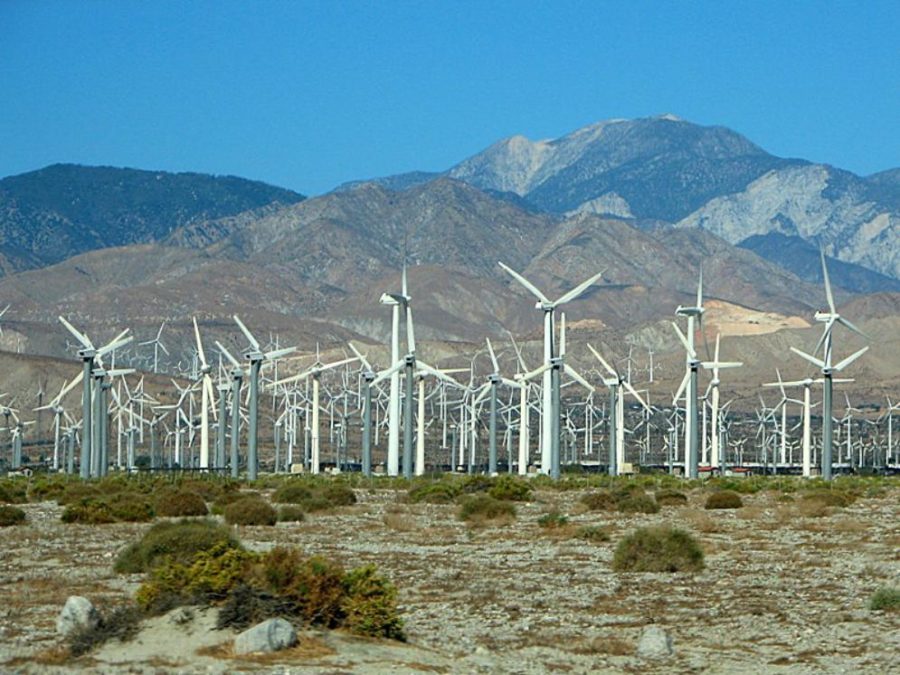 On a road trip to Palm Desert, it’s easy to spot wind farms planted among Californias chaparral landscape.