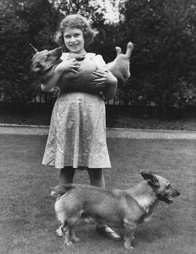 Young Elizabeth with her famous corgis.