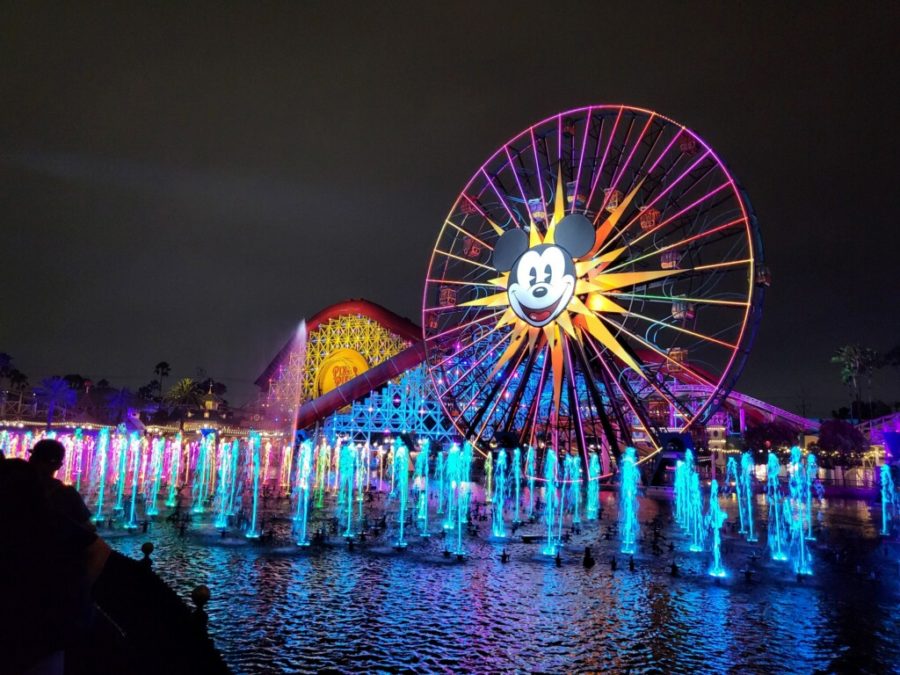 Disneyland is one of the most popular tourist locations, but is the price worth it?