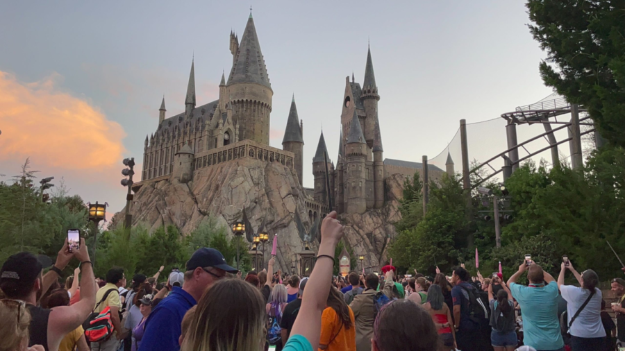 Fans raise their wands in remembrance of Robbie Coltrane
Credit:  WDW News Today
