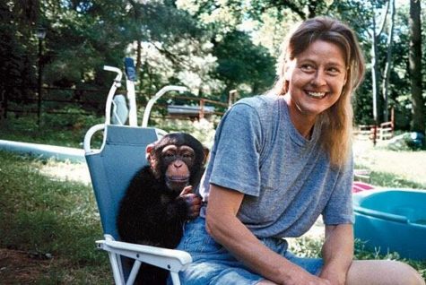 Travis the chimp seen here with Charla Nash… Charla and him were very friendly before the incident.