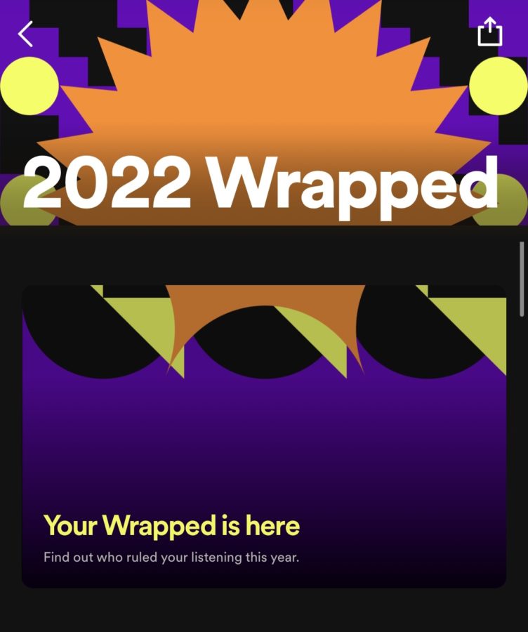 An opening page on Spotify, displaying your Wrapped page.