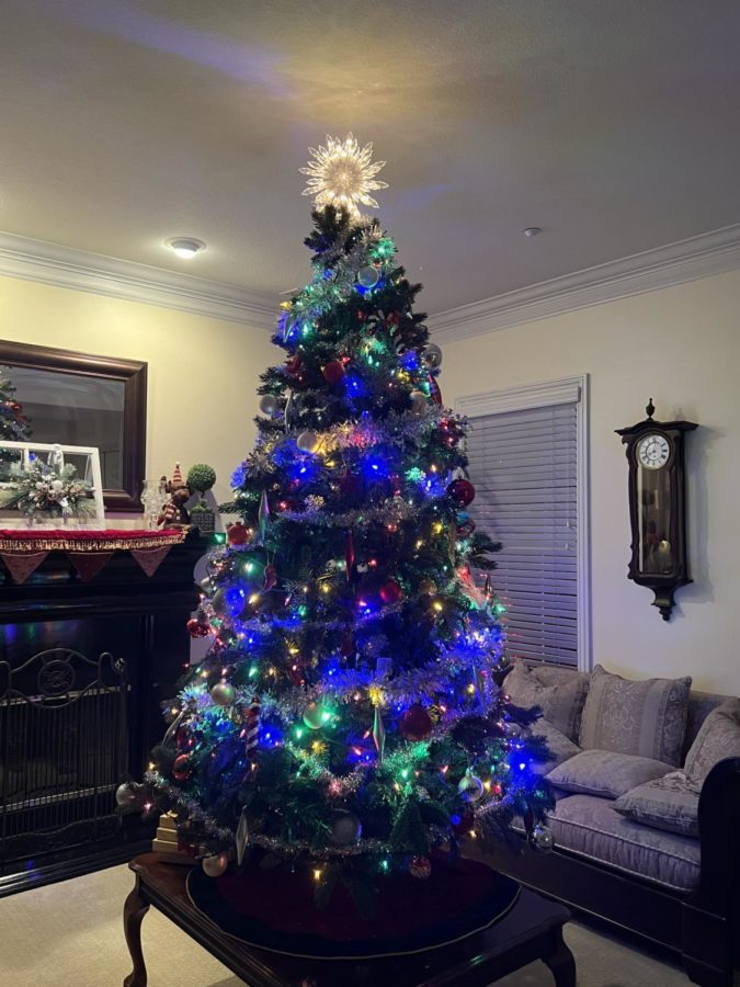 Christmas trees have been a long-standing holiday tradition since the 16th century.