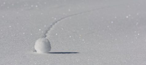 A snowball rolls down a hill, representing your life taking on speed and momentum. 