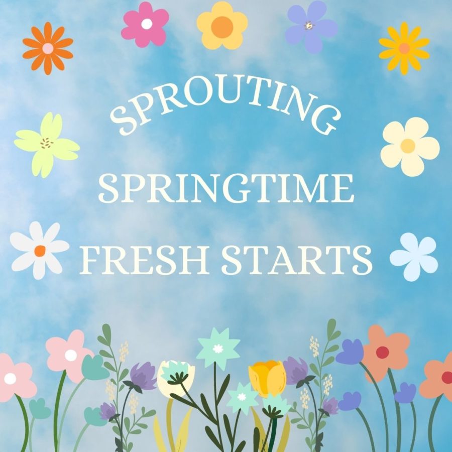 Springtime is characterized by blooming flowers, spring cleaning, and fresh starts. 