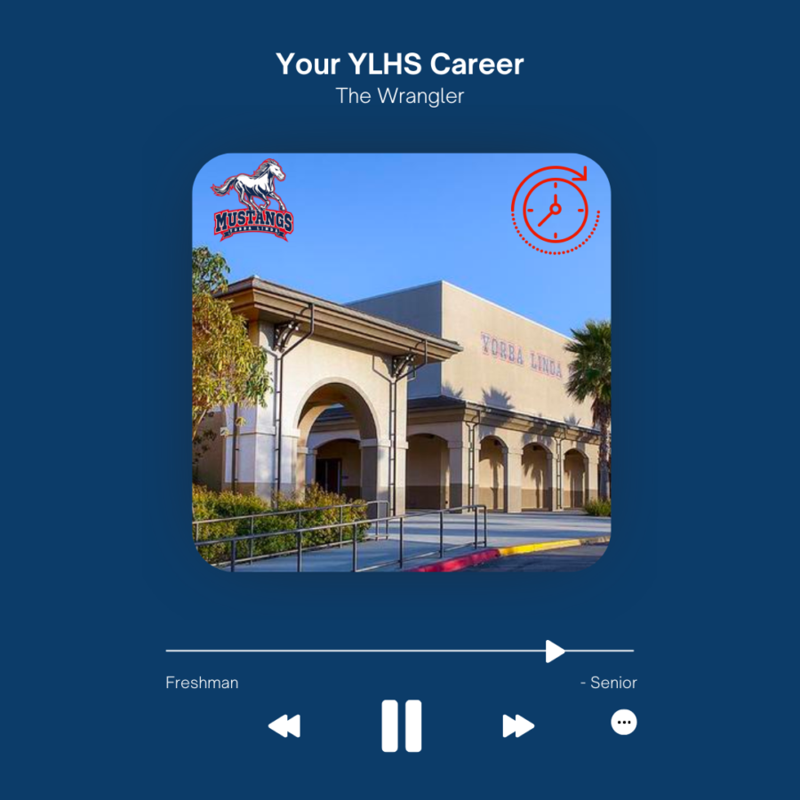 Your high school career at YLHS may have passed in the blink of an eye. 