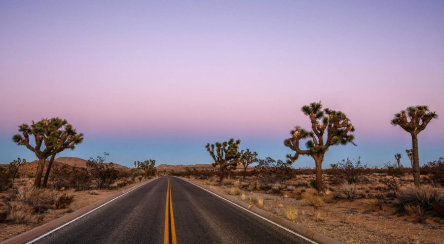 One idea for a senior trip is to take a road trip and visit California’s national parks.