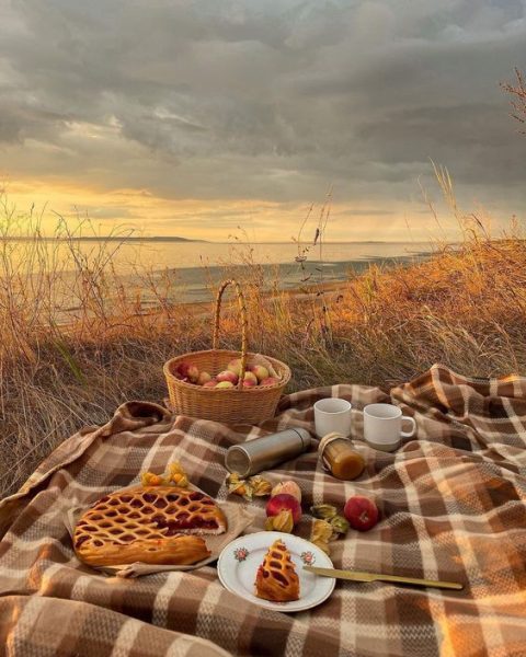 Embrace in the fall spirit by going on a picnic date! Pick a view and some apple spiced food and enjoy the fun.