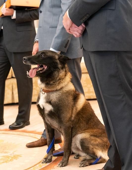 Described by his handler as a “Fearless Warrior,” Conan is remembered for his courageous actions.
