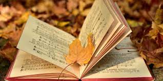 The changing of seasons in literature is significant in multiple different ways. Read more to find out how fall affects many of your favorite books, tv shows, and movies!