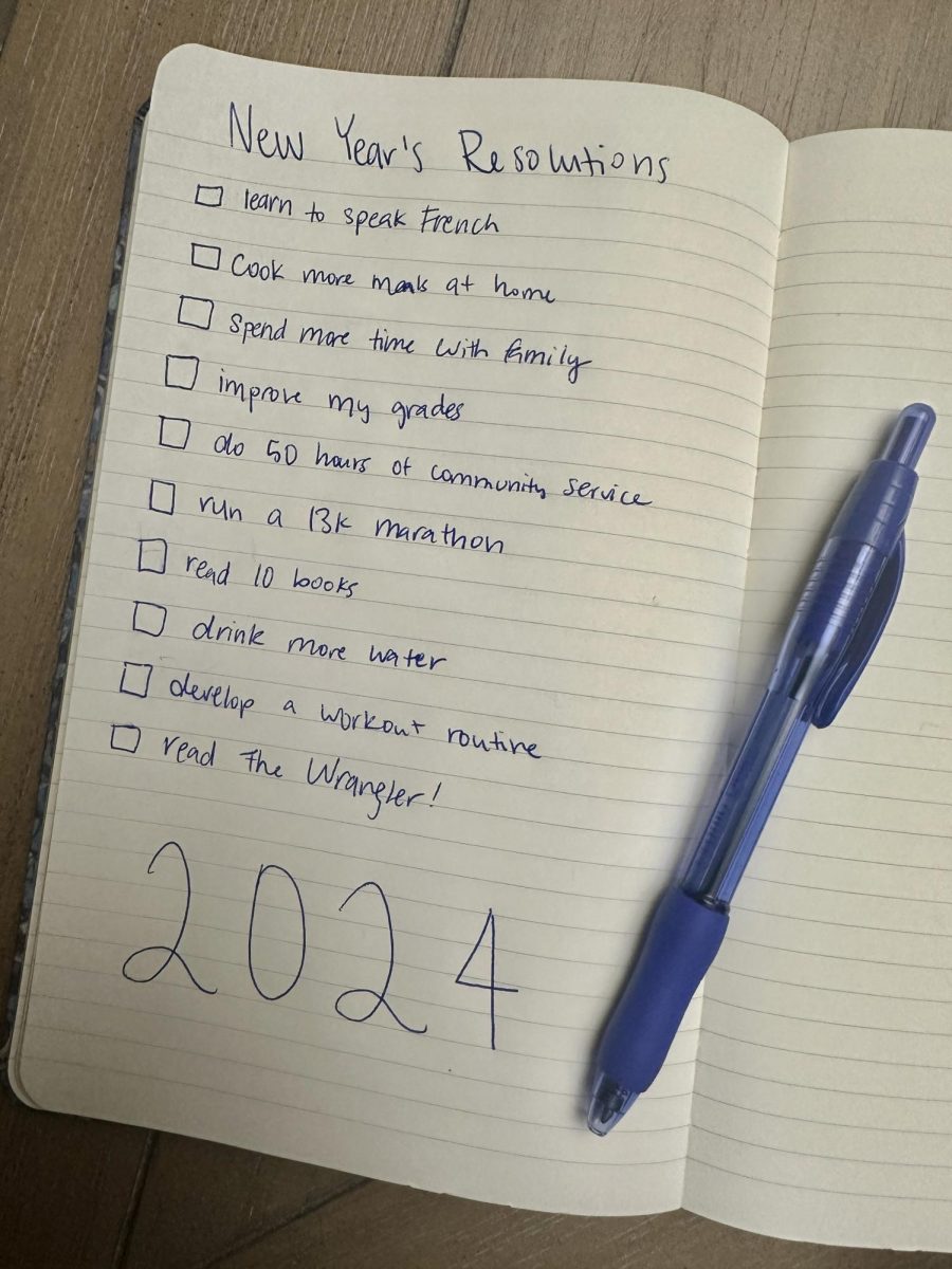 Over the winter break, spend some time writing down your New Year’s resolutions for 2024. 
