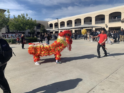Yorba Linda High School Mustangs enrolled in Chinese classes perform the traditional Chinese Lion Dance for the Lunar New Year at break.