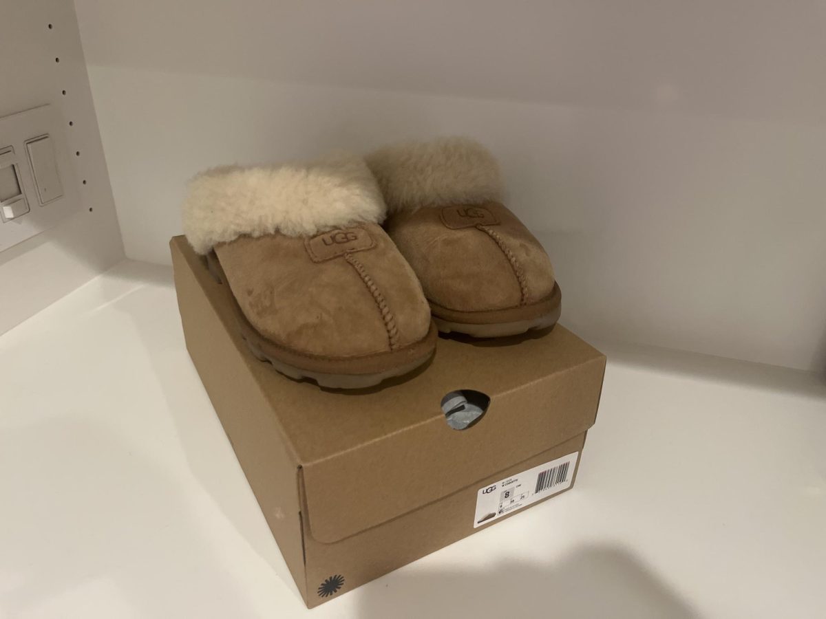 Popular UGG slippers that are both stylish and comfortable!