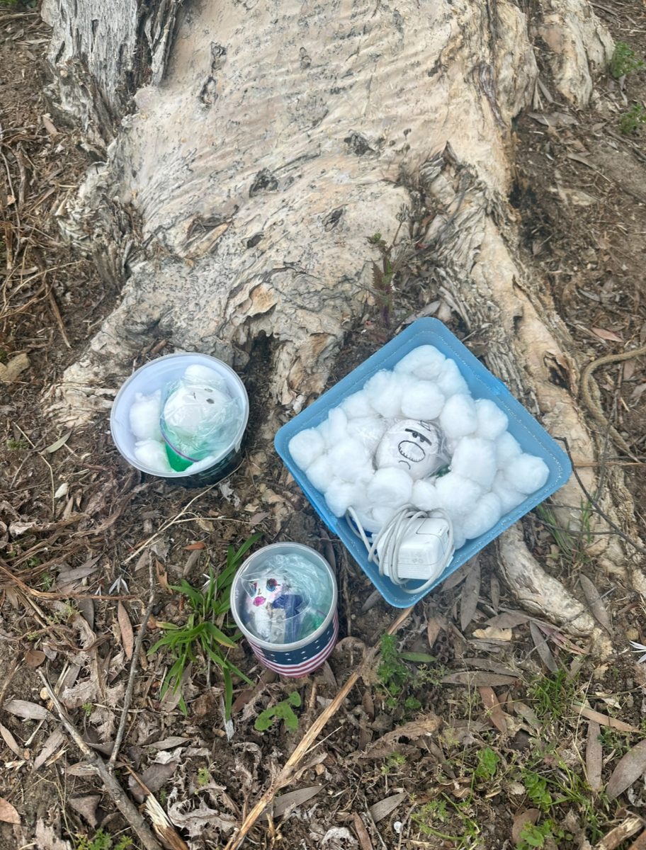 Jennalyn Urquico (11)s, Leilah Huttner (11)s, and Sophia Soliman (12)s eggs hanging out under a tree for their psychology project!