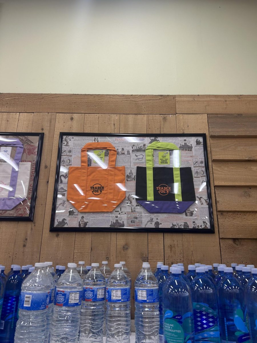Trader Joe’s Halloween tote bags in orange, purple, black, and even multicolored designs quickly became a seasonal favorite this October!