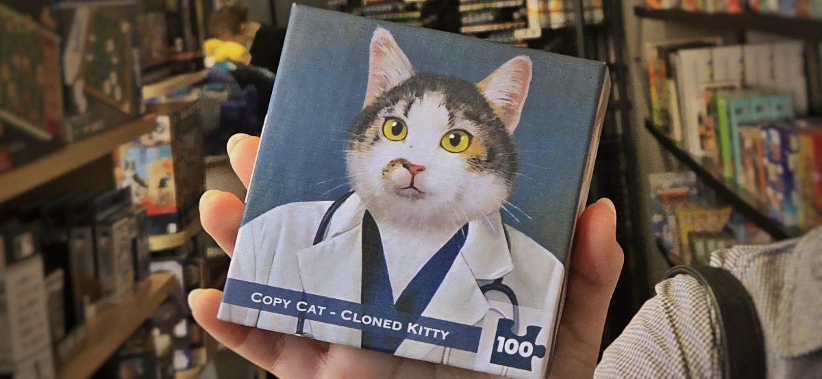 We have all encountered people who seem awfully familiar: the copycats. To many, this unfortunate feeling is associated with one name, or multiple, but why?
