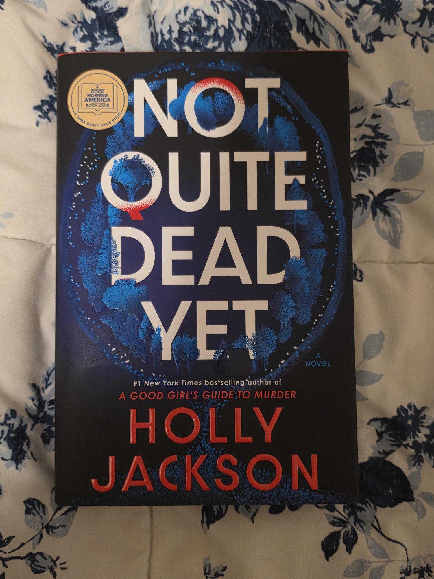 The cover of Not Quite Dead Yet by Holly Jackson, featuring what appears to be a mirror dotted ominously with blue trees and sand.