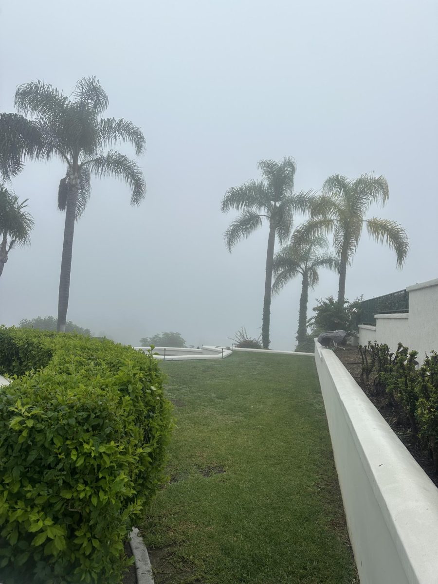 Even in SoCal, the fog rolls in and the cool weather can make us more susceptible to getting sick. 
