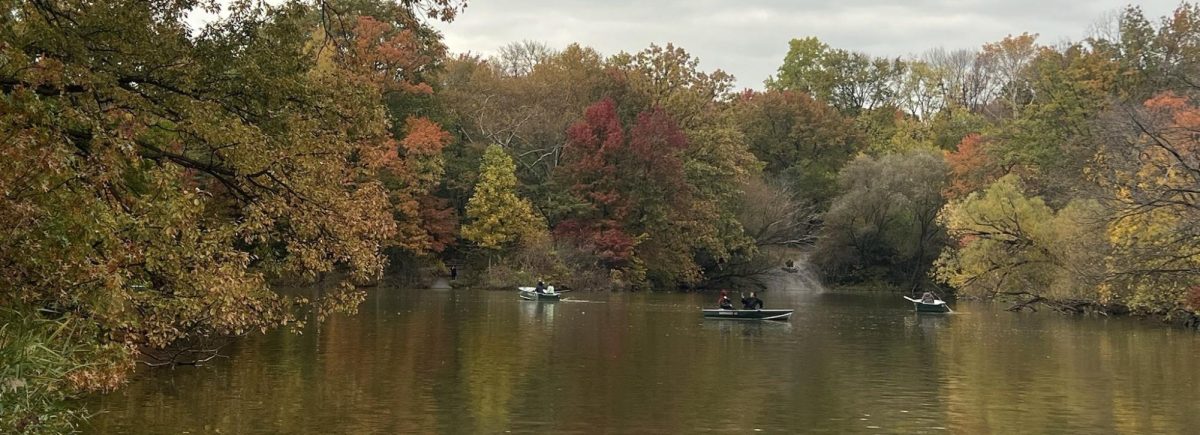As the trees turn into their warm colors, autumn arrives, and so does the season of reading.