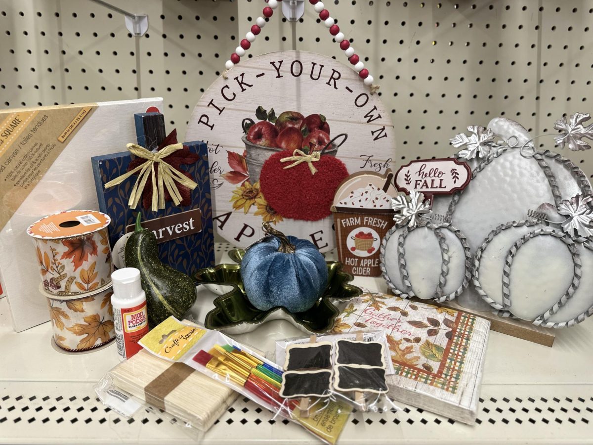 There are many craft supplies at dollar stores to get you ready for fall decoration DIYs.
